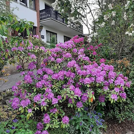 Bergblick 아파트 *